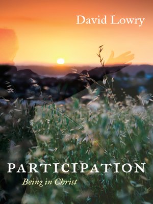 cover image of Participation